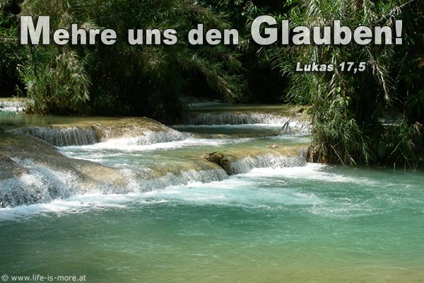 Mehre uns den Glauben! Lukas 17,5 - Bildquelle: pixelio.de