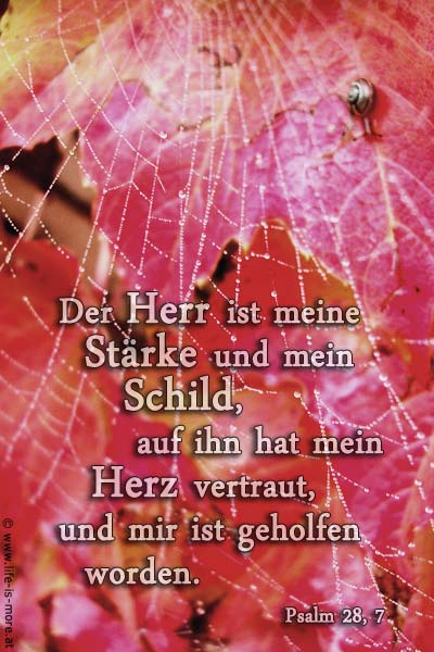 die freude am herrn ist meine kraft die freude am herrn ist meine kraft