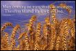 Much dreaming and many words are meaningless. Therefore stand in awe of God. (Ecclesiastes 5,7)