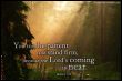 You too, be patient and stand firm, because the Lord's coming is near.  (James 5,8)