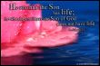 He who has the Son has life; he who does not have the Son of God does not have life.  (1.John 5,12)