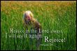 Rejoice in the Lord always. I will say it again: Rejoice! (Philippians 4,4)