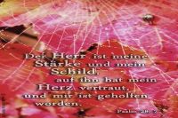 Der Herr ist meine St�rke und mein Schild, auf ihn hat mein Herz vertraut, und mir ist geholfen worden. (Psalm 28,7)