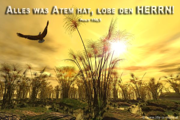 Alles was Atem hat, lobe den Herrn. Psalm 150,5 - Bildquelle: pixelio.de