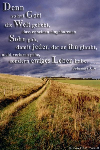 Denn so hat Gott die Welt geliebt, dass er seinen eingeborenen Sohn gab, damit jeder, der an ihn glaubt, nicht verloren geht, sondern ewiges Leben hat.  Johannes 3,16 - Bildquelle: pixelio.de