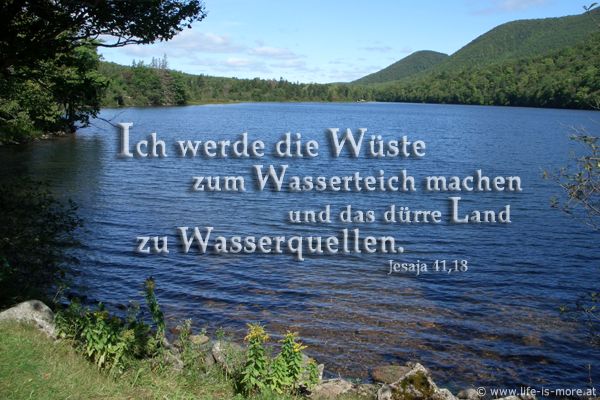 Ich werde die Wüste zum Wasserteich machen und das dürre Land zu Wasserquellen. Jesaja 41,18b - Bildquelle: pixelio.de