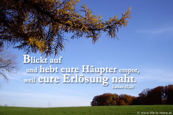 Blickt auf und hebt eure Häupter empor, weil eure Erlösung naht. Lukas 21,28 - Bildquelle: pixelio.de