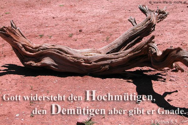 Gott widersteht den Hochmütigen, den Demütigen aber gibt er Gnade. 1.Petrus 5,5 - Bildquelle: pixelio.de