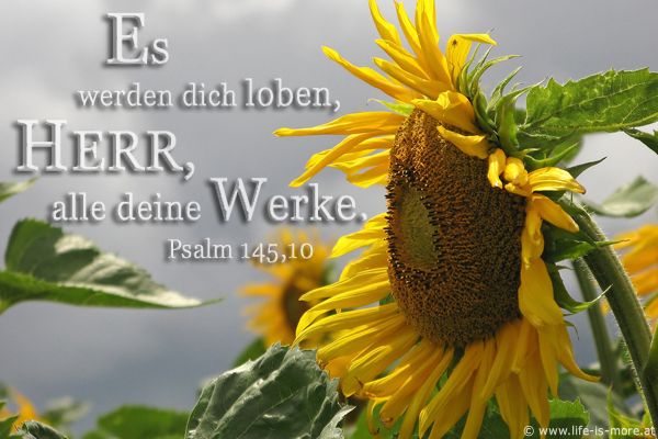 Es werden dich loben, HERR, alle deine Werke. Psalm 147,10 - Bildquelle: pixelio.de