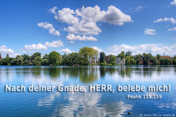 Nach deiner Gnade, HERR, belebe mich! Psalm 119,159 - Bildquelle: pixelio.de