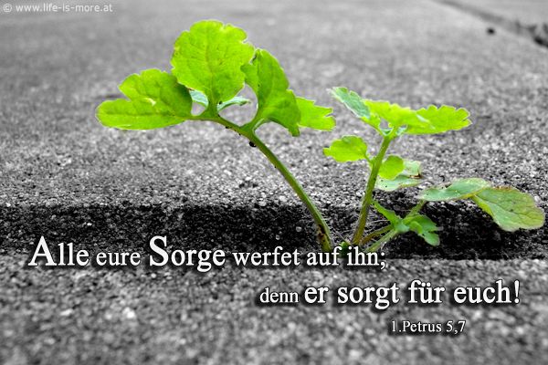 Alle eure Sorge werft auf ihn; denn er sorgt für euch! 1.Petrus 5,7 - Bildquelle: pixelio.de