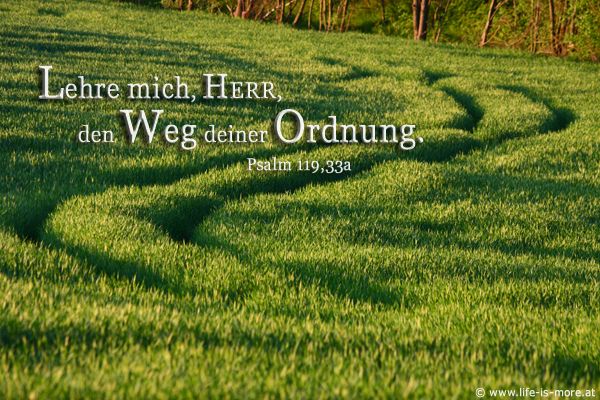 Lehre mich, HERR, den Weg deiner Ordnungen. Psalm 119,33 - Bildquelle: pixelio.de