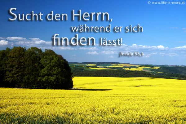 Sucht den Herrn, während er sich finden lässt! Jesaja 55,6 - Bildquelle: pixelio.de