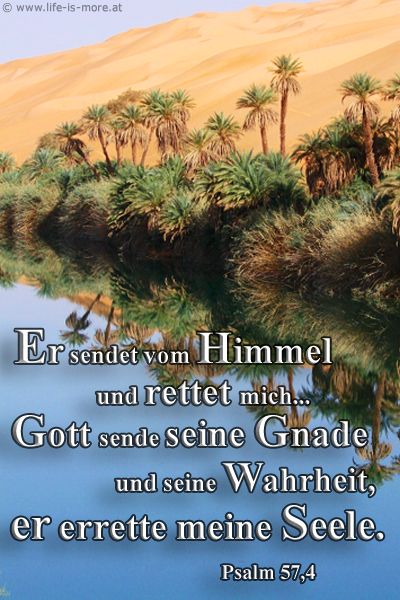 Er sende vom Himmel und rette mich; gehöhnt hat der, der mir nachstellt. Gott sende seine Gnade und seine Wahrheit, er errette meine Seele. Psalm 57,4 - Bildquelle: pixelio.de
