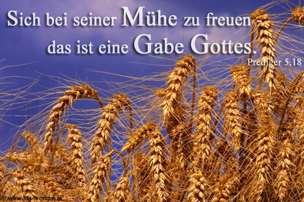 Sich bei seiner Mühe zu freuen - das ist eine Gabe Gottes. Prediger 5,18 - Bildquelle: pixelio.de