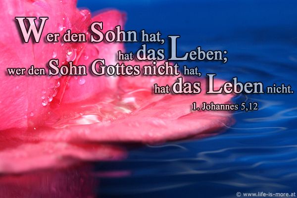 Wer den Sohn hat, hat das Leben; wer den Sohn Gottes nicht hat, hat das Leben nicht. 1.Johannes 5,12 - Bildquelle: pixelio.de