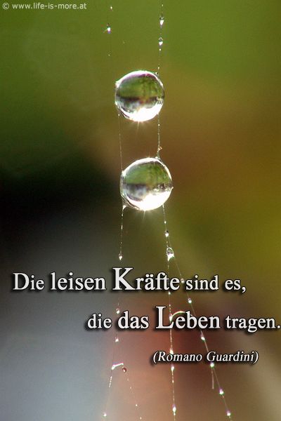 Die leisen Kräfte sind es, die das Leben tragen. Romano Guardini - Bildquelle: pixelio.de