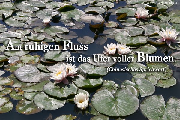 Am ruhigen Fluss ist das Ufer voller Blumen. Chinesisches Sprichwort - Bildquelle: pixelio.de