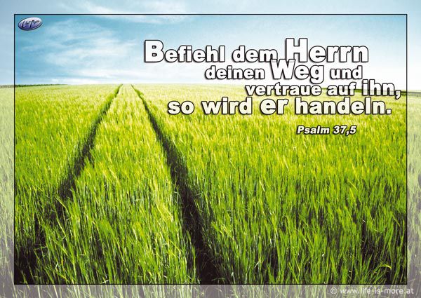 Befiehl dem Herrn deinen Weg und vertraue auf ihn, so wird er handeln. Psalm 37,5 - Bildquelle: pixelio.de