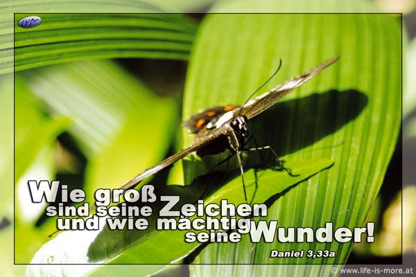 Wie groß sind deine Zeichen und wie mächtig seine Wunder! Daniel 3,33a - Bildquelle: pixelio.de