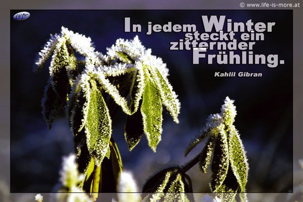 In jedem Winter steckt ein zitternder Frühling. Kahlih Gibran - Bildquelle: pixelio.de
