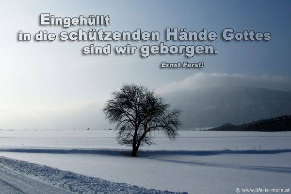 Eingehüllt in die schützenden Hände Gottes sind wir geborgen. Ernst Ferstl - Bildquelle: pixelio.de