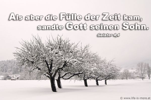 Als aber die Fülle der Zeit kam, sandte Gott seinen Sohn. (Weihnachten, Advent) Galater 4,4 - Bildquelle: pixelio.de