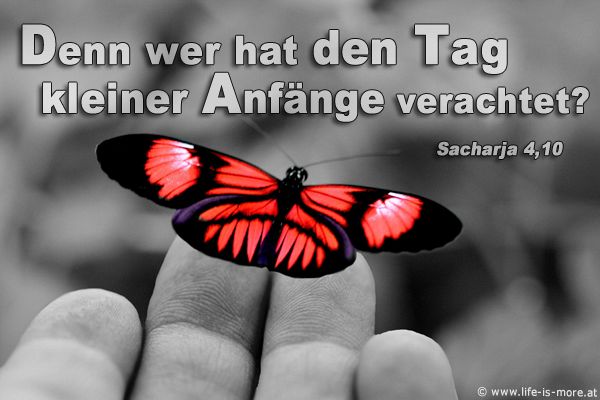 Denn wer hat den Tag kleiner Anfänge verachtet? Sacharja 4,10 - Bildquelle: pixelio.de