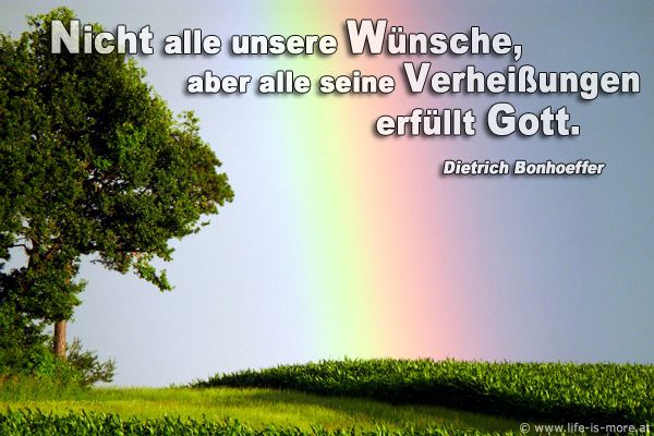 Nicht alle unsere Wünsche, aber alle seine Verheißungen erfüllt Gott. Dietrich Bonhoeffer - Bildquelle: pixelio.de