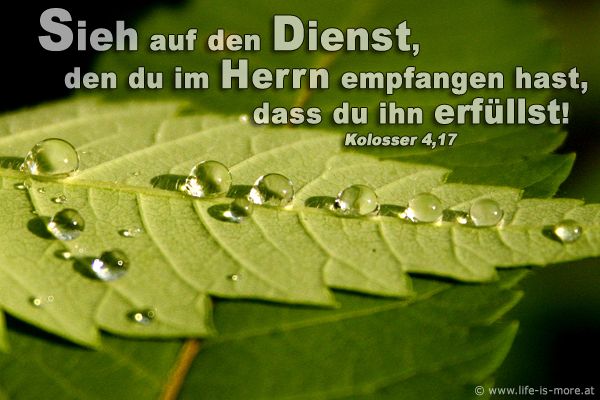 Sieh auf den Dienst, den du im Herrn empfangen hast, dass du ihn erfüllst! Kolosser 4,17 - Bildquelle: pixelio.de