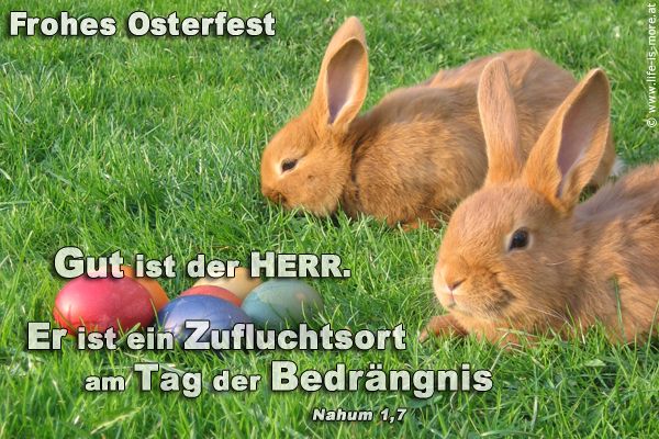Gut ist der Herr. Er ist ein Zufluchtsort am Tag der Bedrängnis. (Ostern) Nahum 1,7 - Bildquelle: pixelio.de