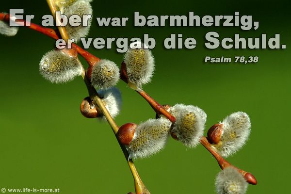 Er aber war barmherzig, er vergab die Schuld. Psalm 78,38 - Bildquelle: pixelio.de