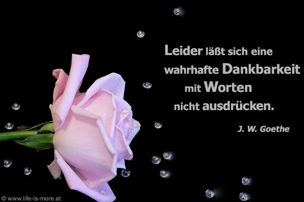 Leider läßt sich eine wahrhafte Dankbarkeit mit Worten nicht ausdrücken.  Johann Wolfgang von Goethe - Bildquelle: pixelio.de