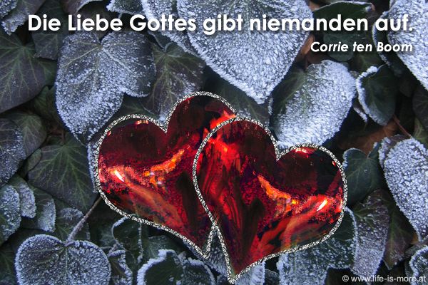 Die Liebe Gottes gibt niemanden auf. Corrie ten Boom - Bildquelle: pixelio.de