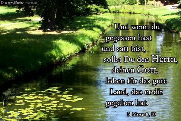 Und wenn du gegessen hast und satt bist, sollst du den HERRN, deinen Gott, loben für das gute Land, das er dir gegeben hat. 5.Mose 8,10 - Bildquelle: pixelio.de