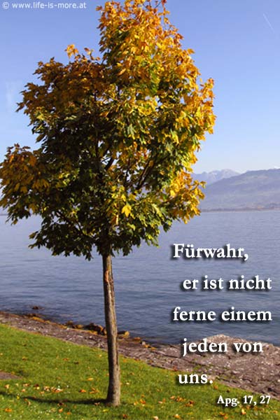 Fürwahr, er ist ja nicht ferne einem jeden von uns. Apostelgeschichte 17,27 - Bildquelle: pixelio.de