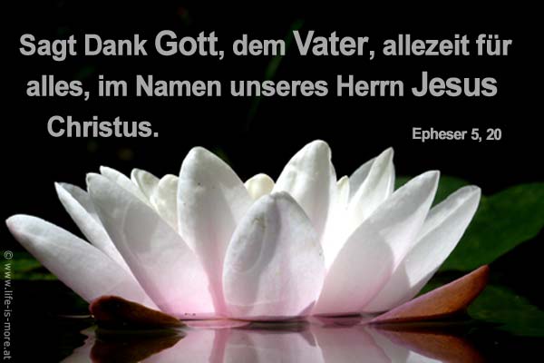 Sagt Dank Gott, dem Vater, allezeit für alles, im Namen unseres Herrn Jesus Christus. Epheser 5,20 - Bildquelle: pixelio.de