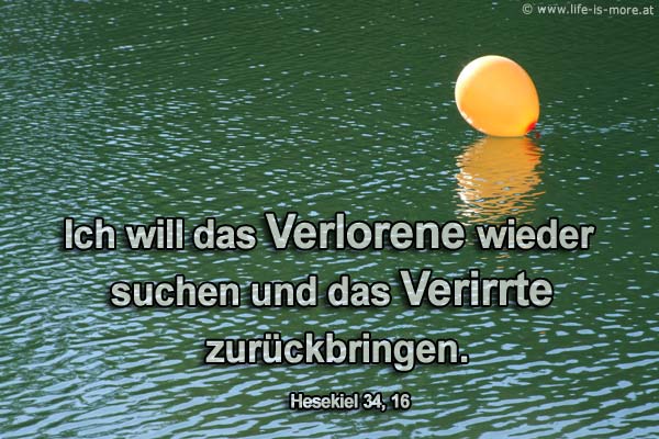 Ich will das Verlorene wieder suchen und das Verirrte zurückbringen. Hesekiel 34,16 - Bildquelle: pixelio.de