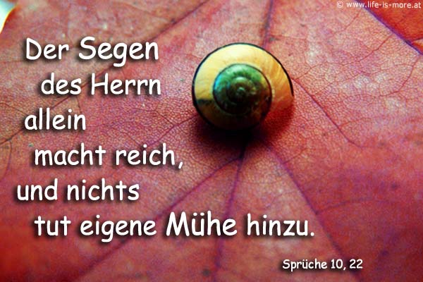 Der Segen des HERRN alleine macht reich, und nichts tut eigene Mühe hinzu. Sprüche 10,22 - Bildquelle: pixelio.de