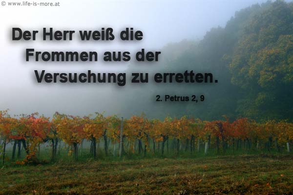 Der Herr weiß die Frommen aus der Versuchung zu erretten. 2 Petrus 2,9 - Bildquelle: pixelio.de