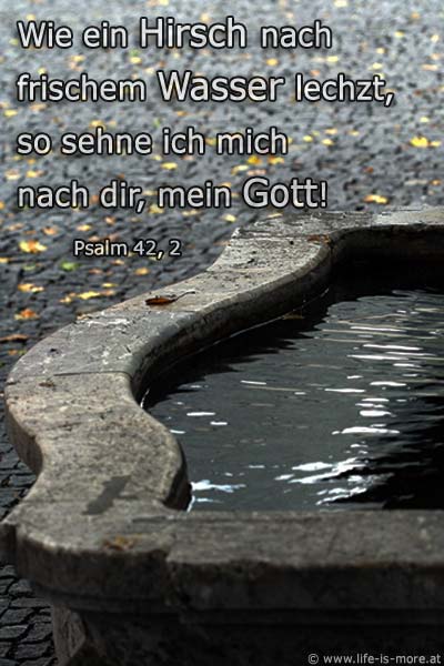 Wie ein Hirsch nach frischem Wasser lechzt, so sehne ich mich nach dir, mein Gott Psalm 42,2 - Bildquelle: pixelio.de