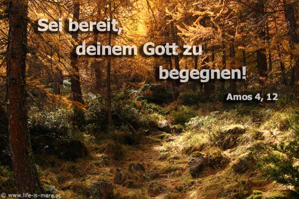 Sei bereit, deinem Gott zu begegnen! Amos 4,12 - Bildquelle: pixelio.de