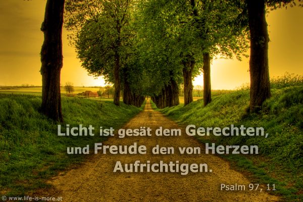 Licht ist gesät dem Gerechten, und Freude den von Herzen Aufrichtigen. Psalm 97,11 - Bildquelle: pixelio.de