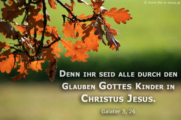 Denn ihr seid alle durch den Glauben Gottes Kinder in Christus Jesus. Galater 3,26 - Bildquelle: pixelio.de