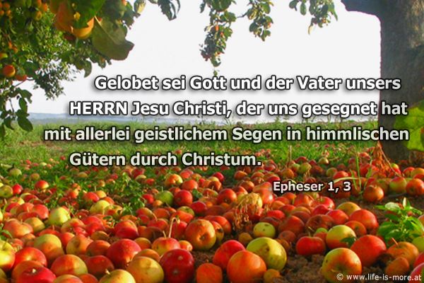 Gelobet sei Gott und der Vater unsers HERRN Jesu Christi, der uns gesegnet hat mit allerlei geistlichem Segen in himmlischen Gütern durch Christum. Epheser 1,3 - Bildquelle: pixelio.de