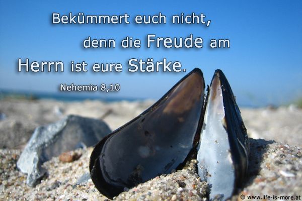 Bekümmert euch nicht, denn die Freude am Herrn ist eure Stärke. Nehemia 8,10 - Bildquelle: pixelio.de