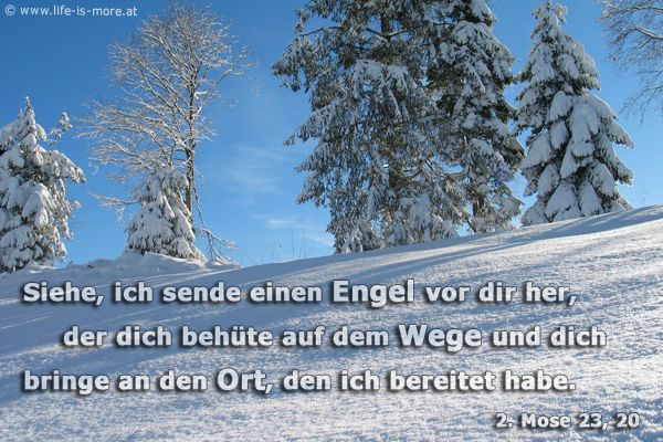 Siehe, ich sende einen Engel vor dir her, der dich behüte auf dem Wege und dich bringe an den Ort, den ich bereitet habe. 2.Mose 23,20 - Bildquelle: pixelio.de