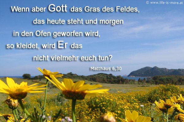 Wenn aber Gott das Gras des Feldes, das heute steht und morgen in den Ofen geworfen wird, so kleidet, wird Er das nicht vielmehr euch tun? Matthäus 6,30 - Bildquelle: pixelio.de