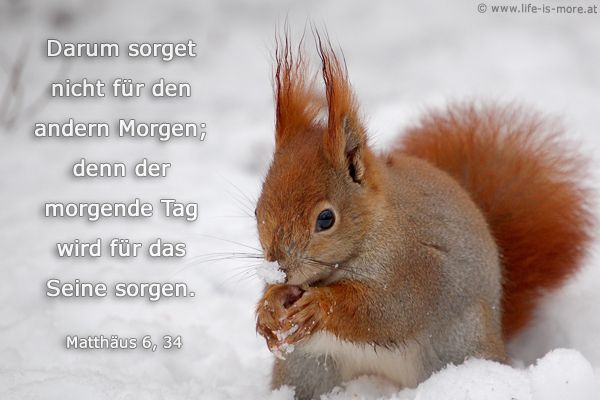Darum sorget nicht für den andern Morgen; denn der morgende Tag wird für das Seine sorgen. Matthäus 6,34 - Bildquelle: pixelio.de
