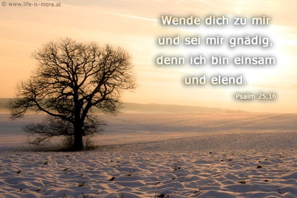 Wende dich zu mir und sei mir gnädig, denn ich bin einsam und elend. Psalm 25,16 - Bildquelle: pixelio.de